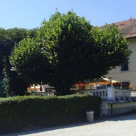 Hotel De Bahyse Blonay Bagian luar foto