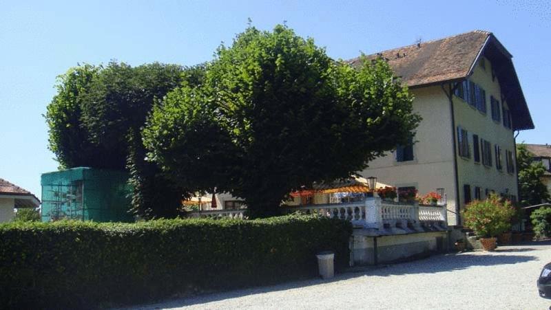 Hotel De Bahyse Blonay Bagian luar foto